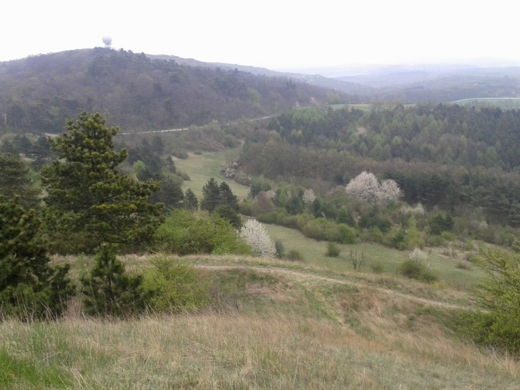 Steinmandl (480 m npm), w oddali radar wojskowy