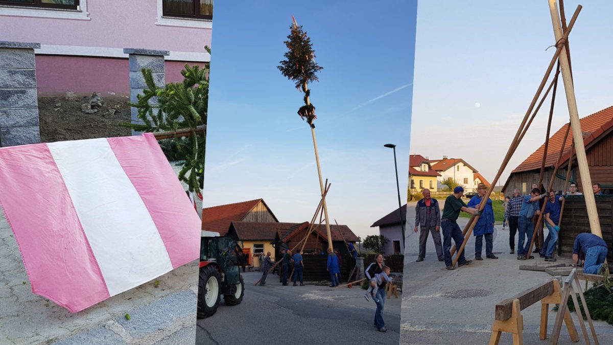 Drzewo majowe i jego tradycja w Austrii