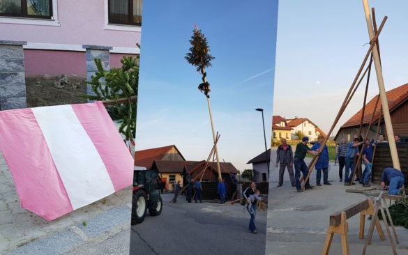 Maibaum, stawianie drzewa majowego, tradycja