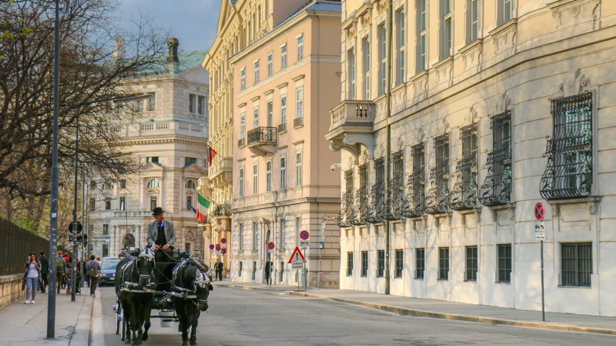 Jak zostać przewodnikiem w Wiedniu i Austrii?